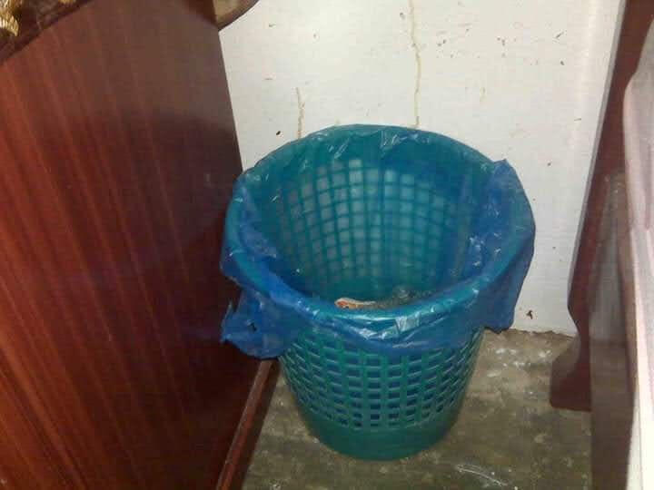 basura yo
